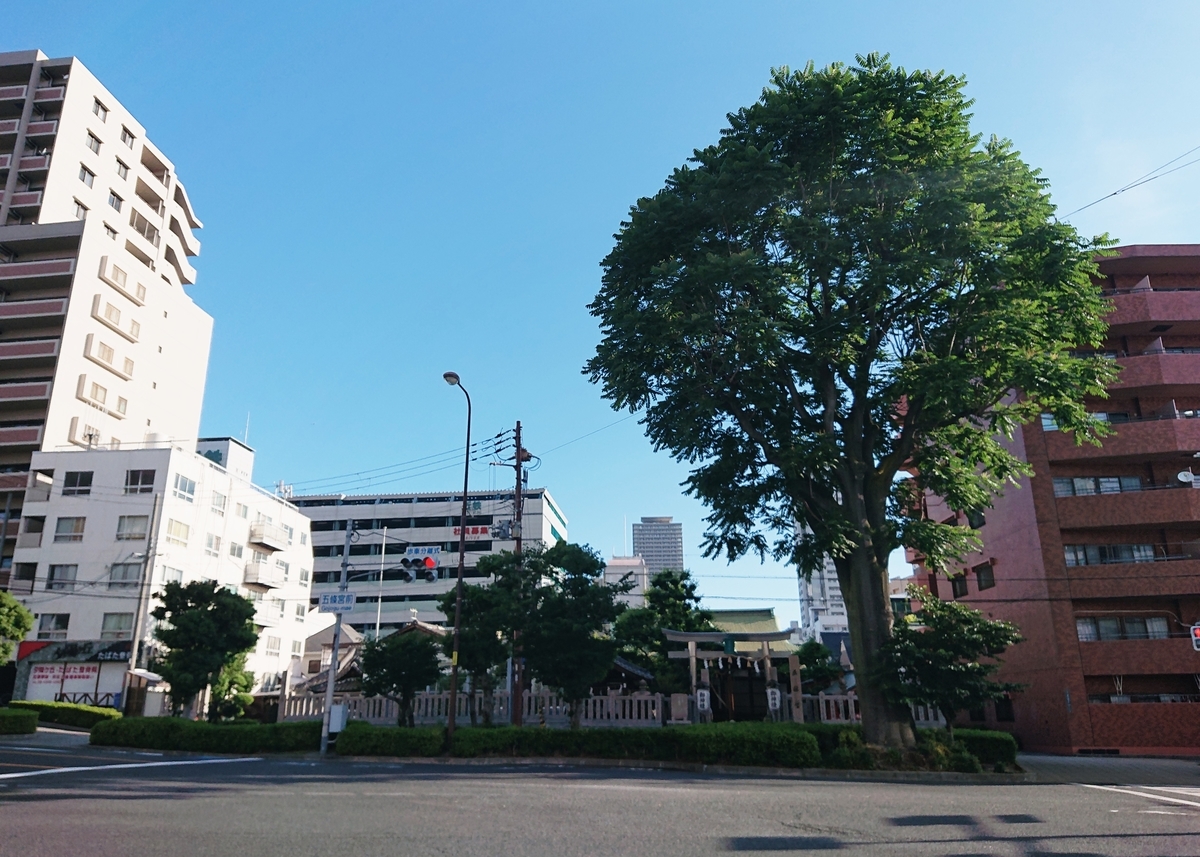 f:id:Kaimotu_Hatuji:20200611115542j:plain