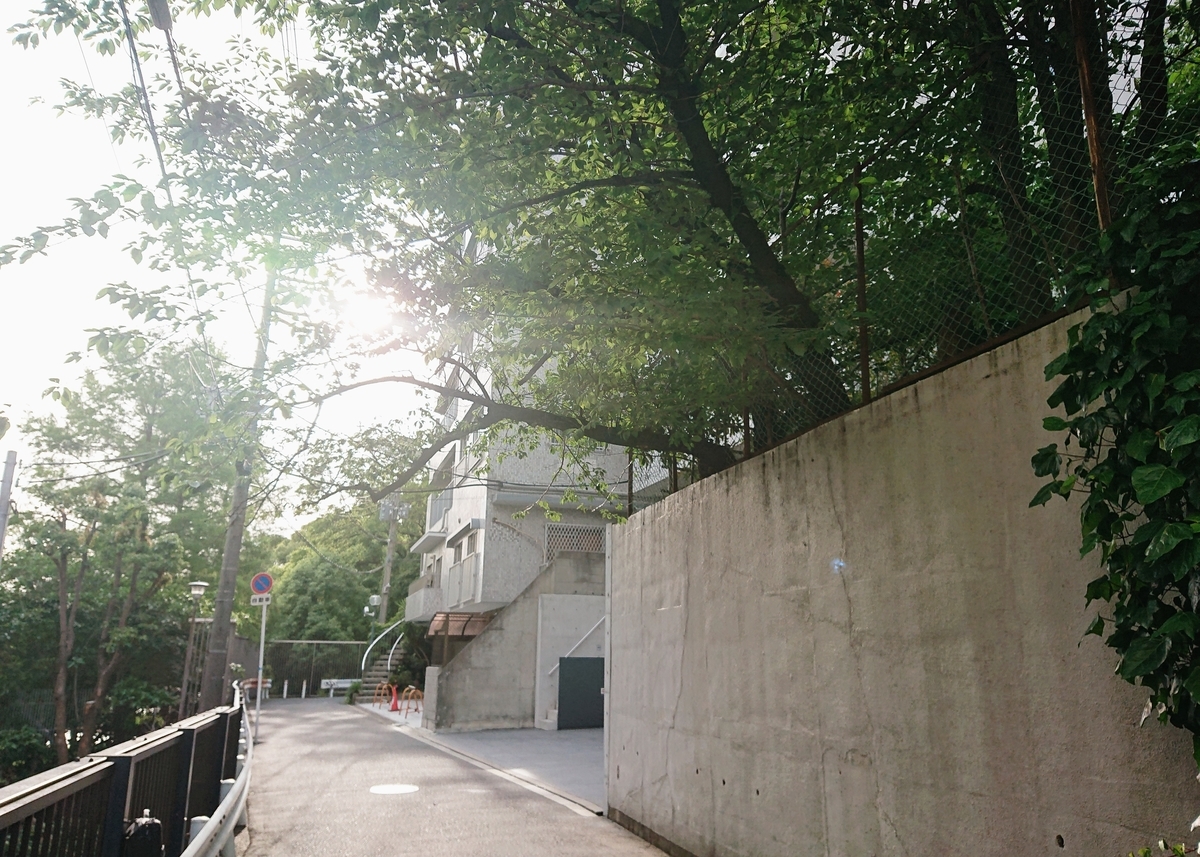 f:id:Kaimotu_Hatuji:20200611191348j:plain