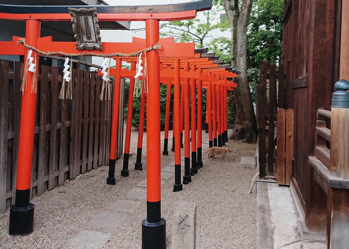 f:id:Kaimotu_Hatuji:20200611191728j:plain