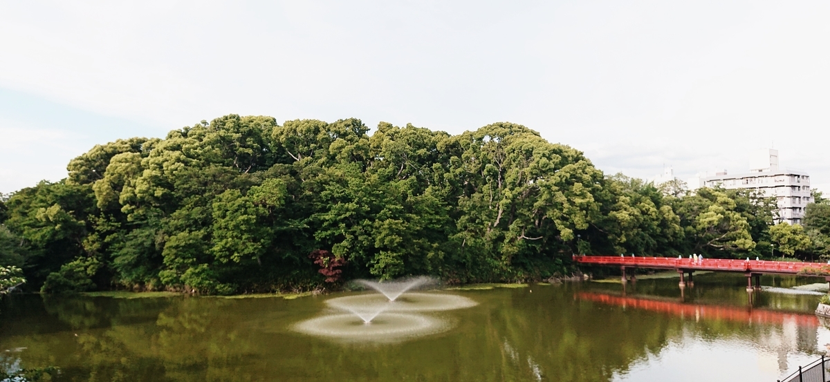 f:id:Kaimotu_Hatuji:20200611192042j:plain