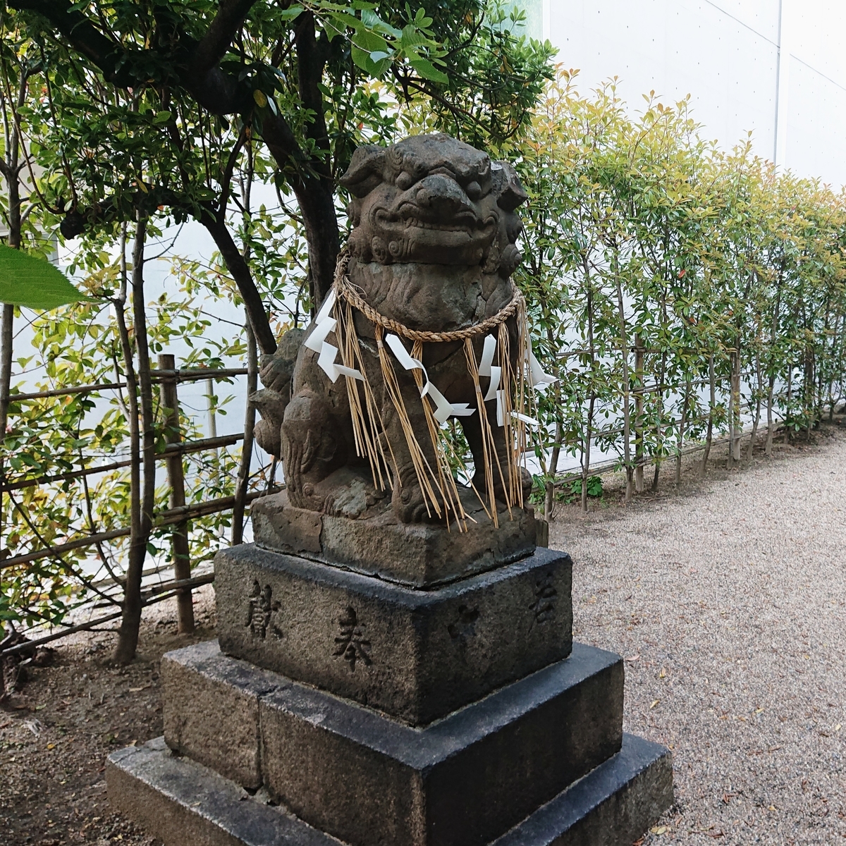 f:id:Kaimotu_Hatuji:20200612203042j:plain