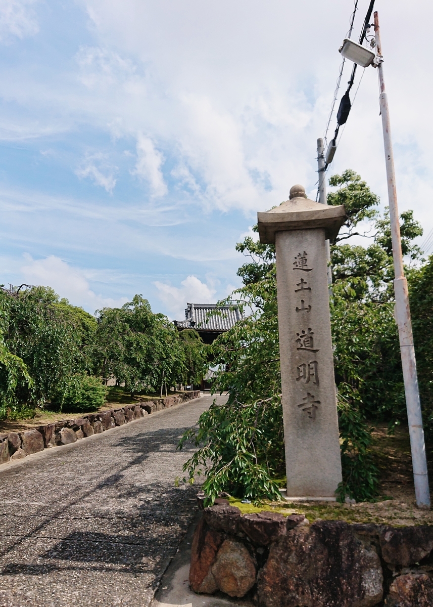 f:id:Kaimotu_Hatuji:20200624153000j:plain