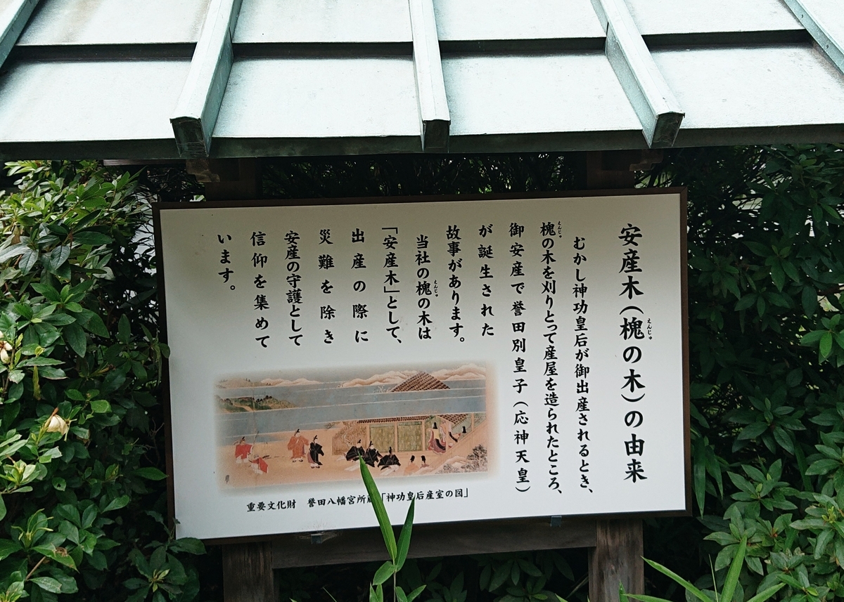 f:id:Kaimotu_Hatuji:20200626093603j:plain