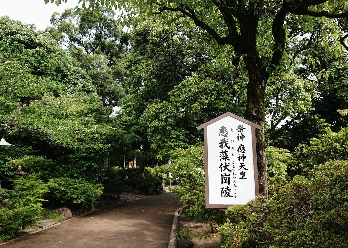 f:id:Kaimotu_Hatuji:20200626093627j:plain
