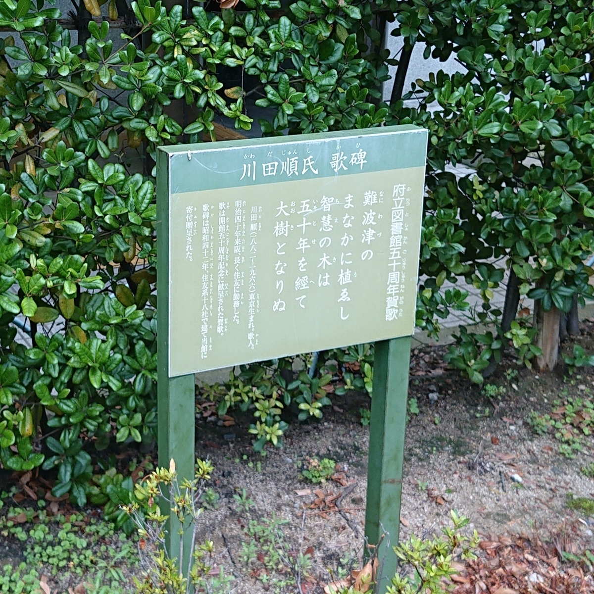 f:id:Kaimotu_Hatuji:20200713185010j:plain