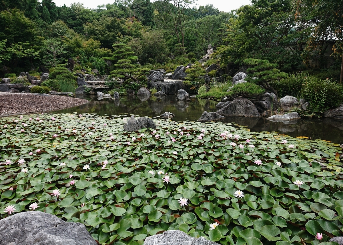 f:id:Kaimotu_Hatuji:20200724173521j:plain