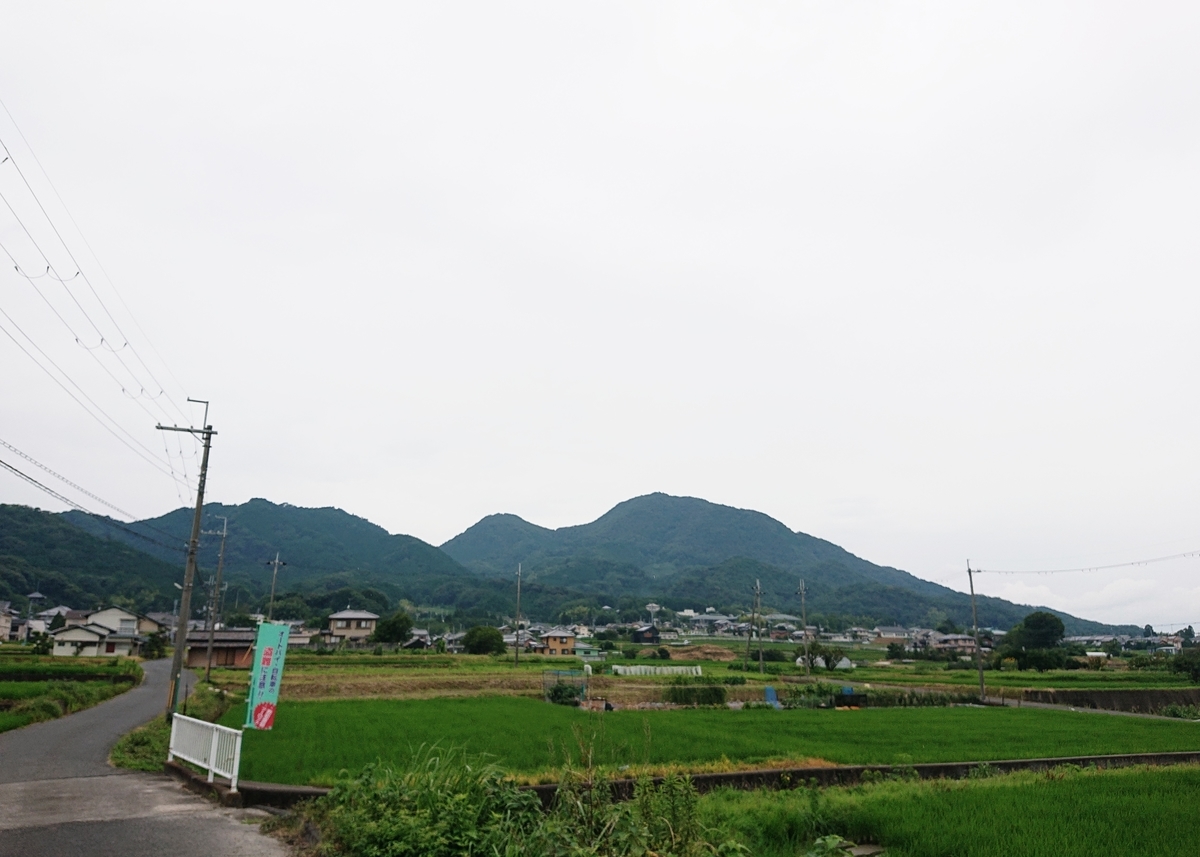 f:id:Kaimotu_Hatuji:20200724174959j:plain