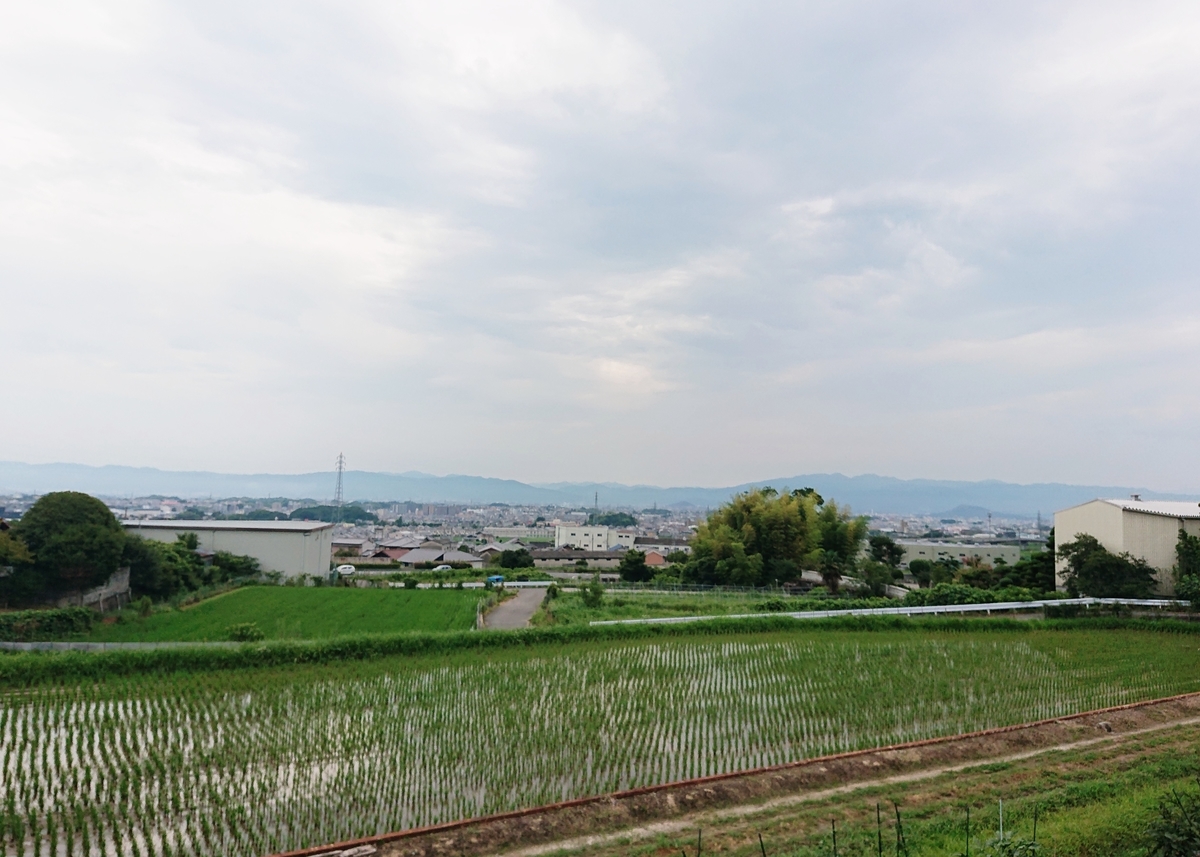 f:id:Kaimotu_Hatuji:20200724190620j:plain