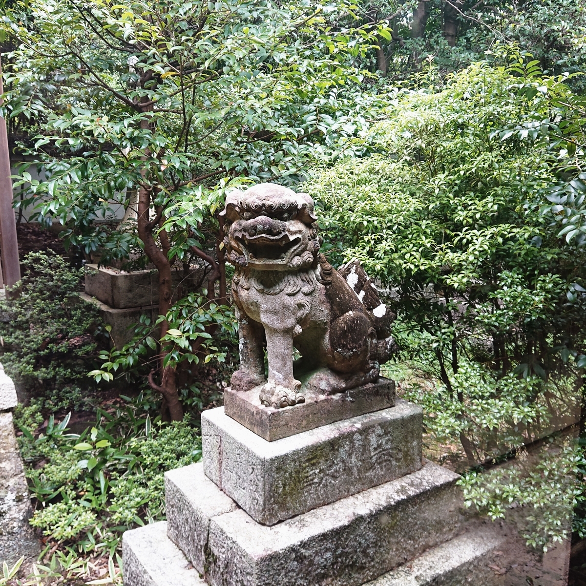 f:id:Kaimotu_Hatuji:20200725190558j:plain