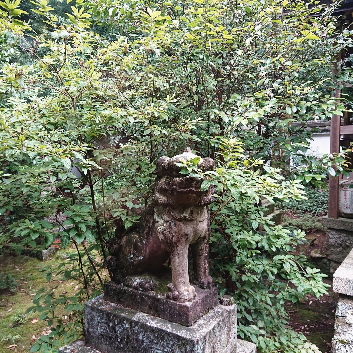 f:id:Kaimotu_Hatuji:20200725190617j:plain