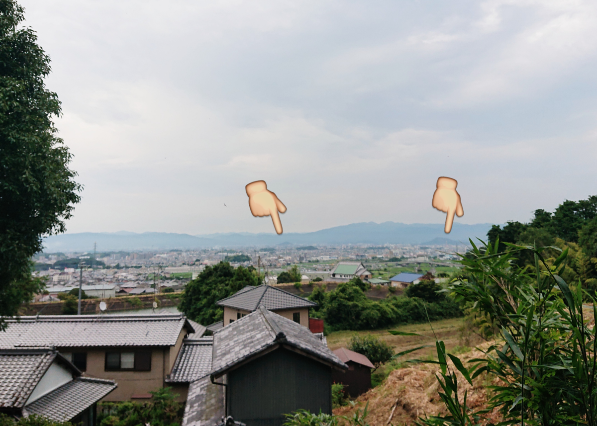f:id:Kaimotu_Hatuji:20200725193820p:plain
