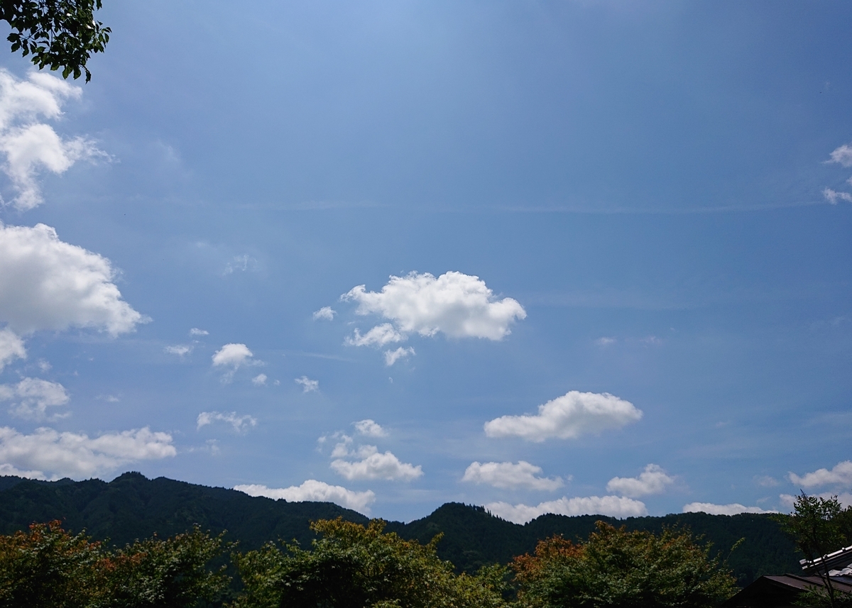 f:id:Kaimotu_Hatuji:20200801161744j:plain