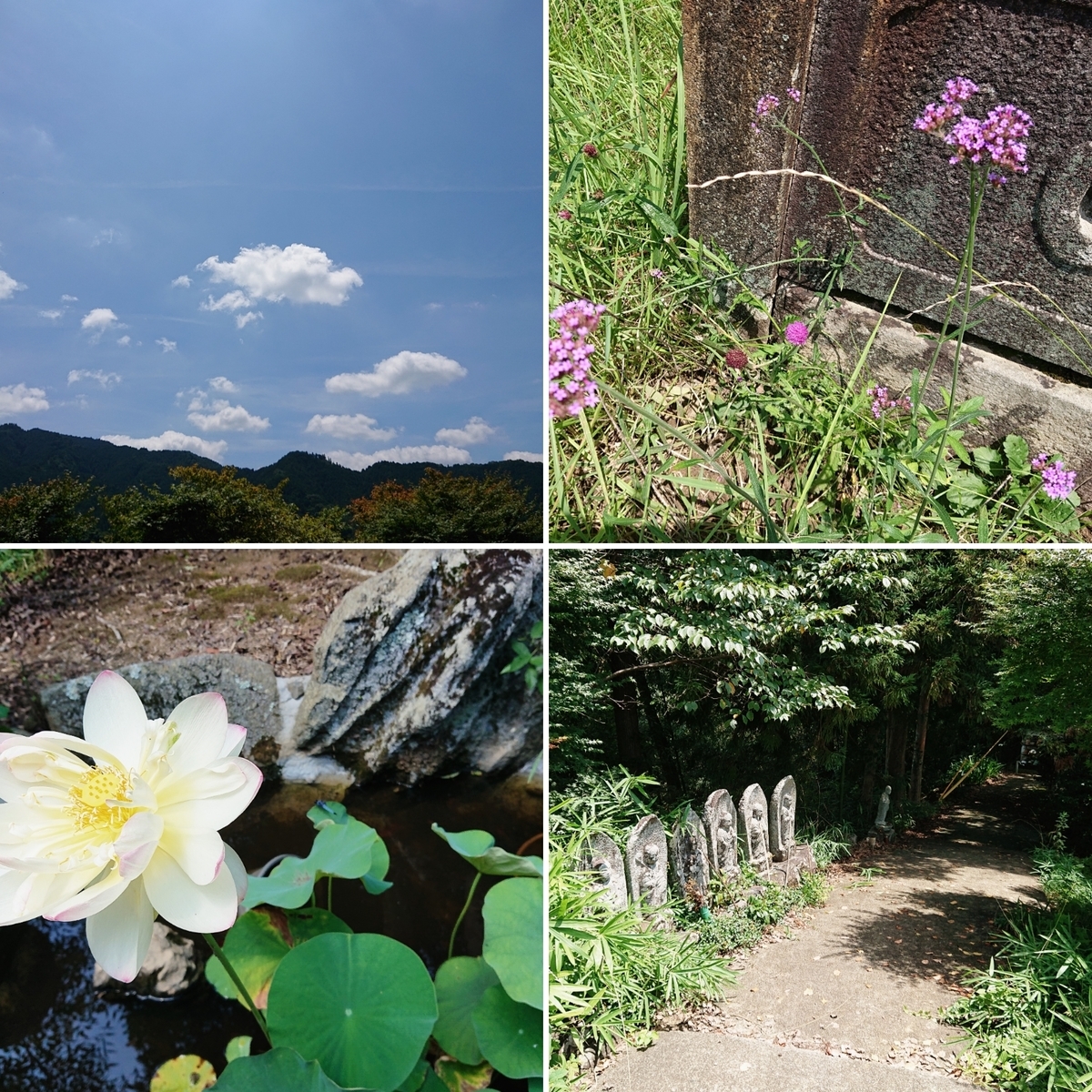 f:id:Kaimotu_Hatuji:20200801191919j:plain