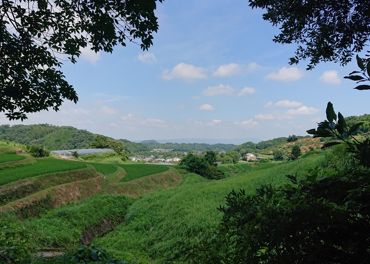 f:id:Kaimotu_Hatuji:20200802155248j:plain
