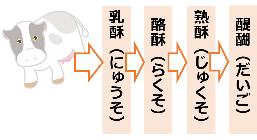f:id:Kaimotu_Hatuji:20200813190641p:plain