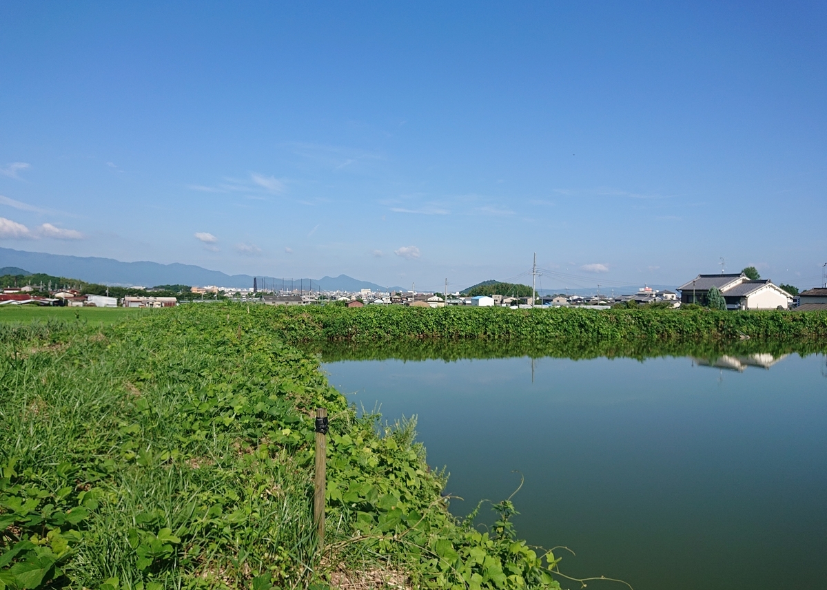 f:id:Kaimotu_Hatuji:20200814172657j:plain