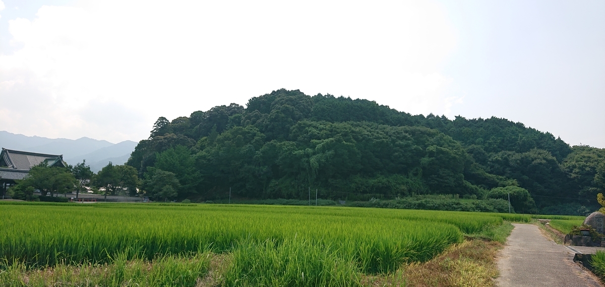 f:id:Kaimotu_Hatuji:20200821184334j:plain