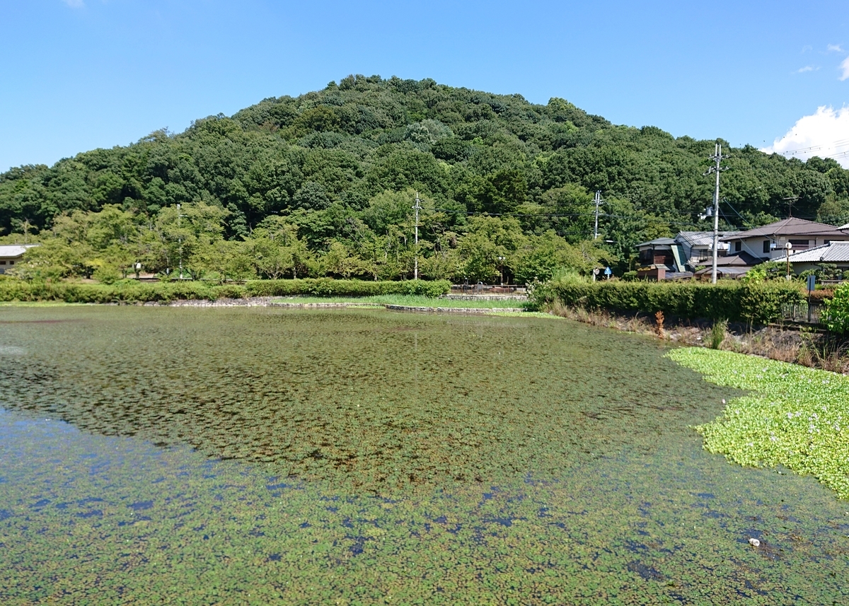 f:id:Kaimotu_Hatuji:20200829180412j:plain
