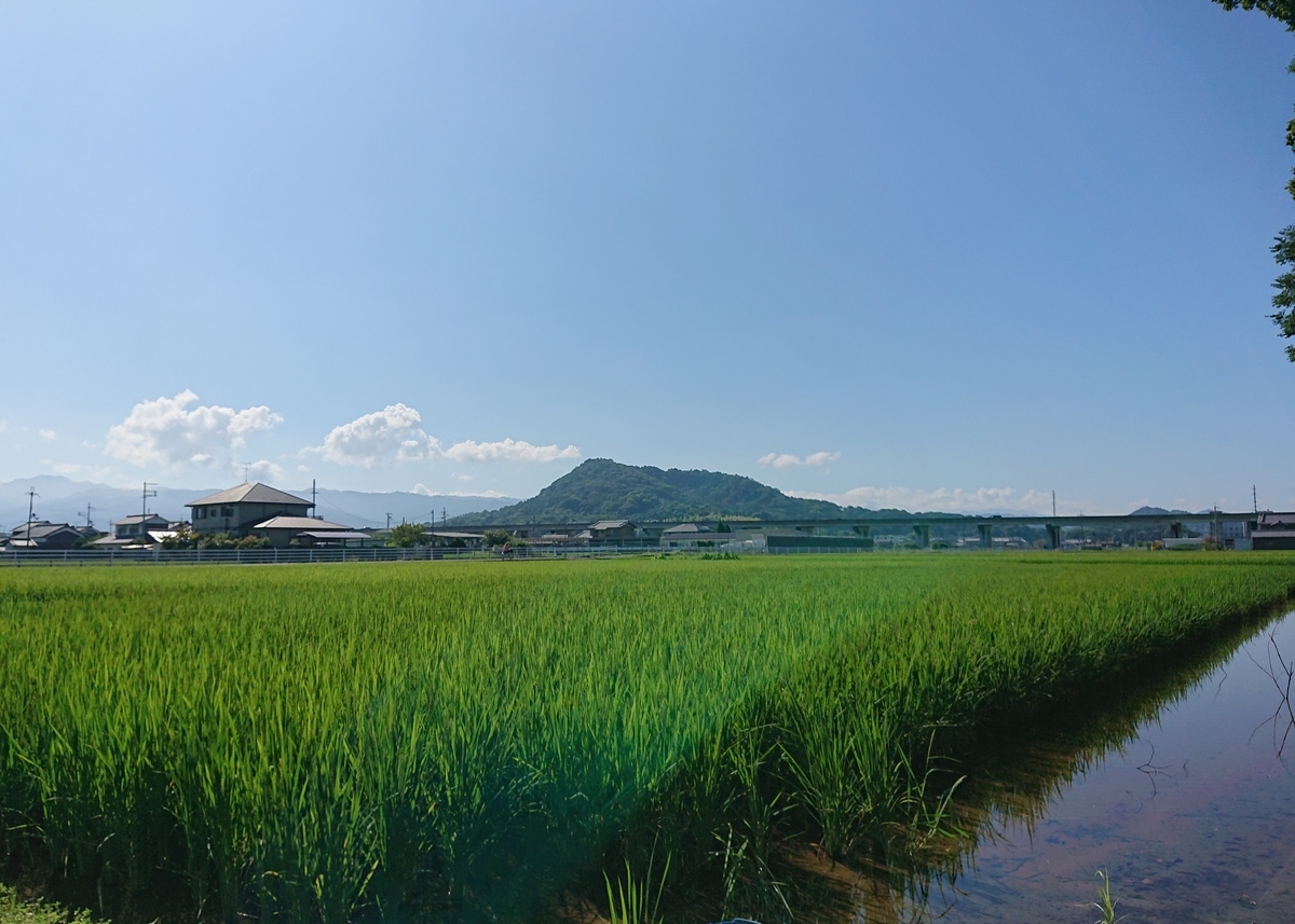 f:id:Kaimotu_Hatuji:20200829180554j:plain