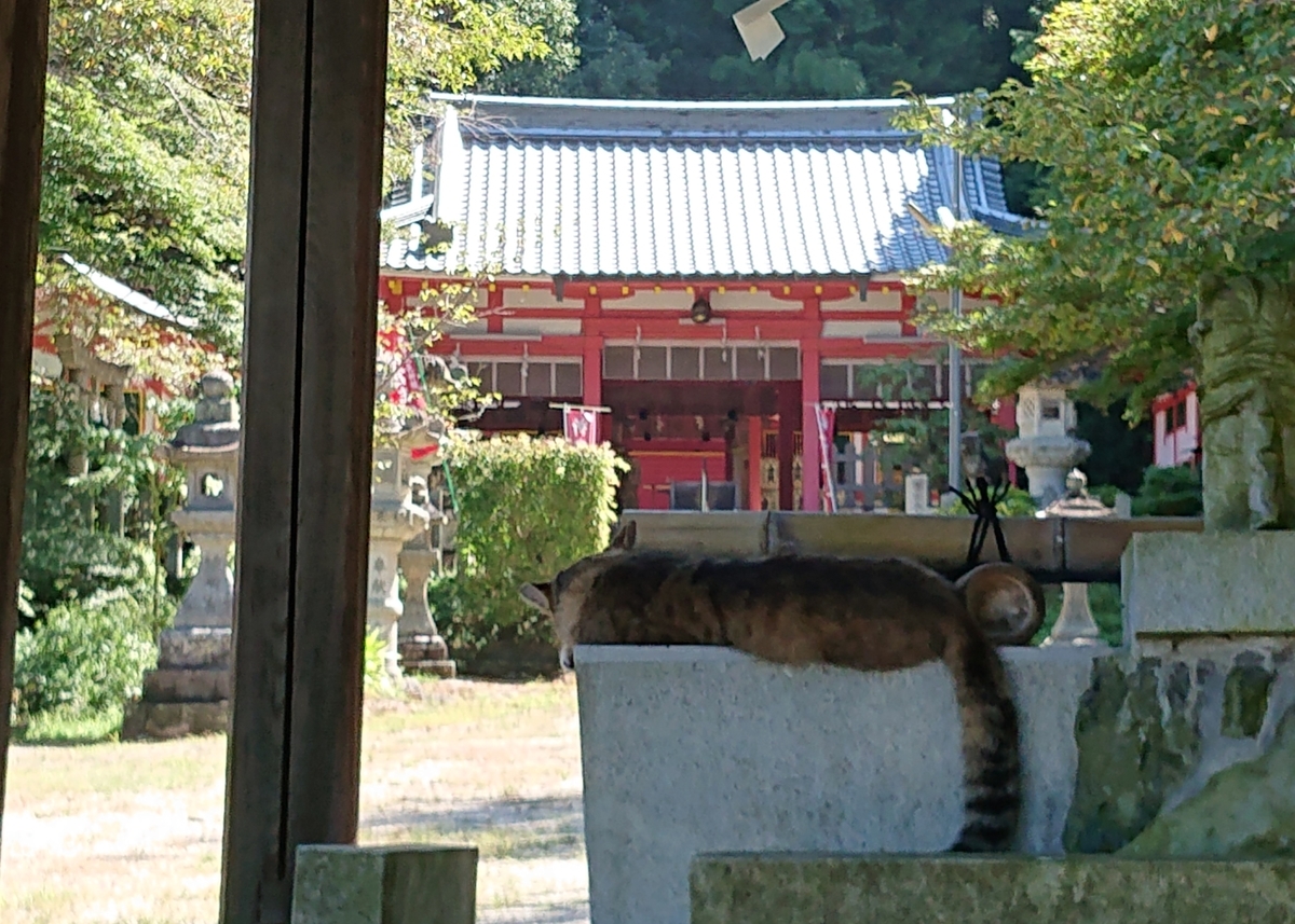 f:id:Kaimotu_Hatuji:20200829180634j:plain