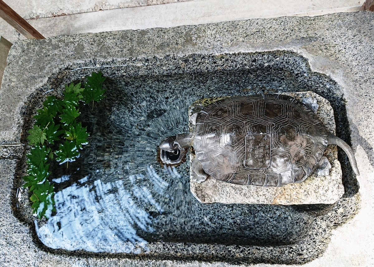 f:id:Kaimotu_Hatuji:20200911185055j:plain