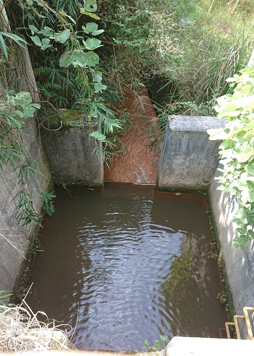 f:id:Kaimotu_Hatuji:20201004064308j:plain