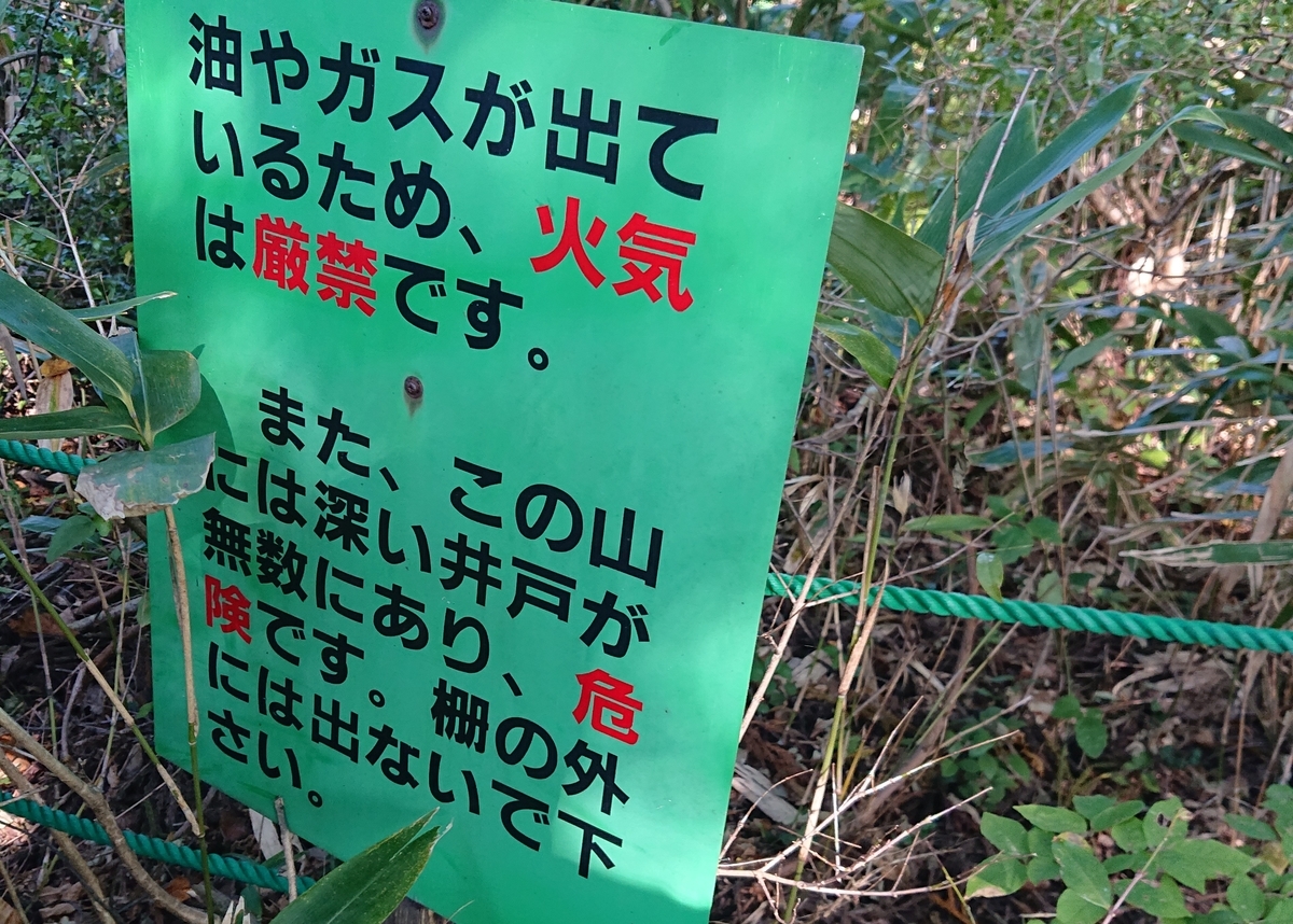 f:id:Kaimotu_Hatuji:20201021042542j:plain