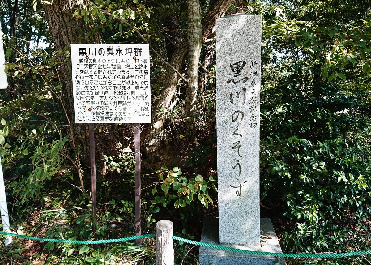 f:id:Kaimotu_Hatuji:20201021042627j:plain