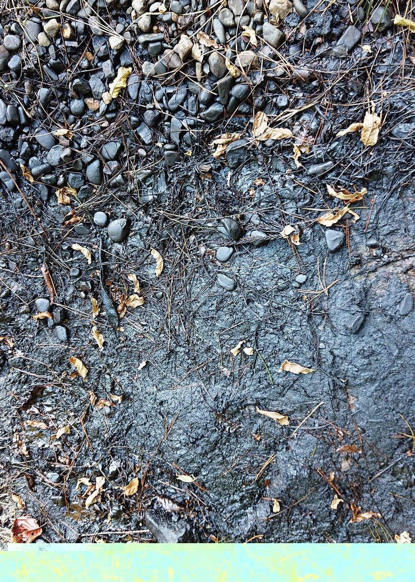 f:id:Kaimotu_Hatuji:20201021042837j:plain