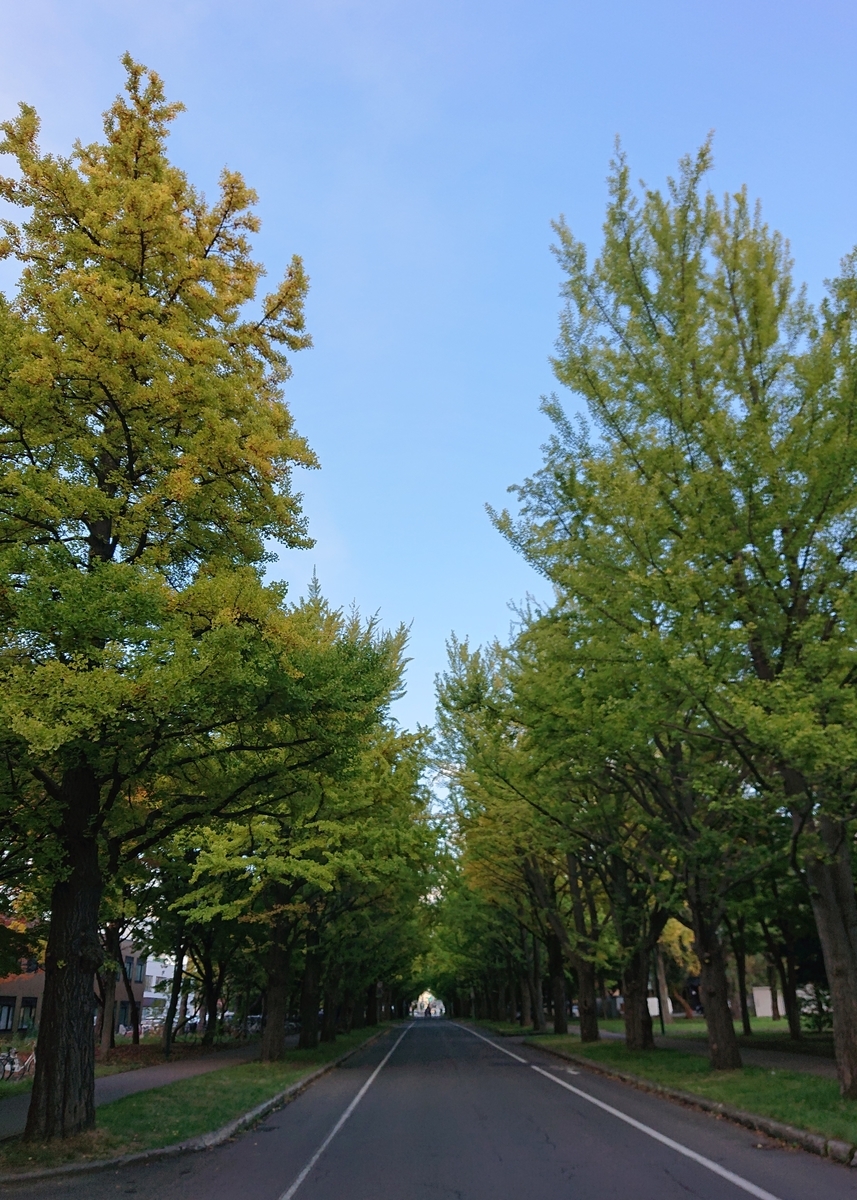 f:id:Kaimotu_Hatuji:20201027084408j:plain