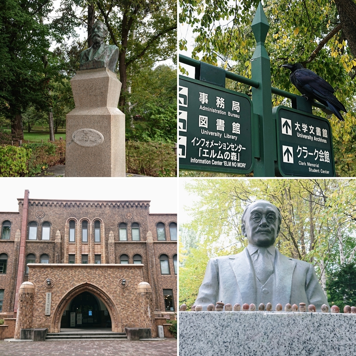 f:id:Kaimotu_Hatuji:20201027143847j:plain