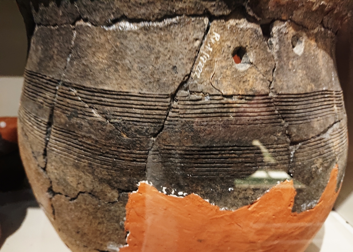 f:id:Kaimotu_Hatuji:20201028125613j:plain