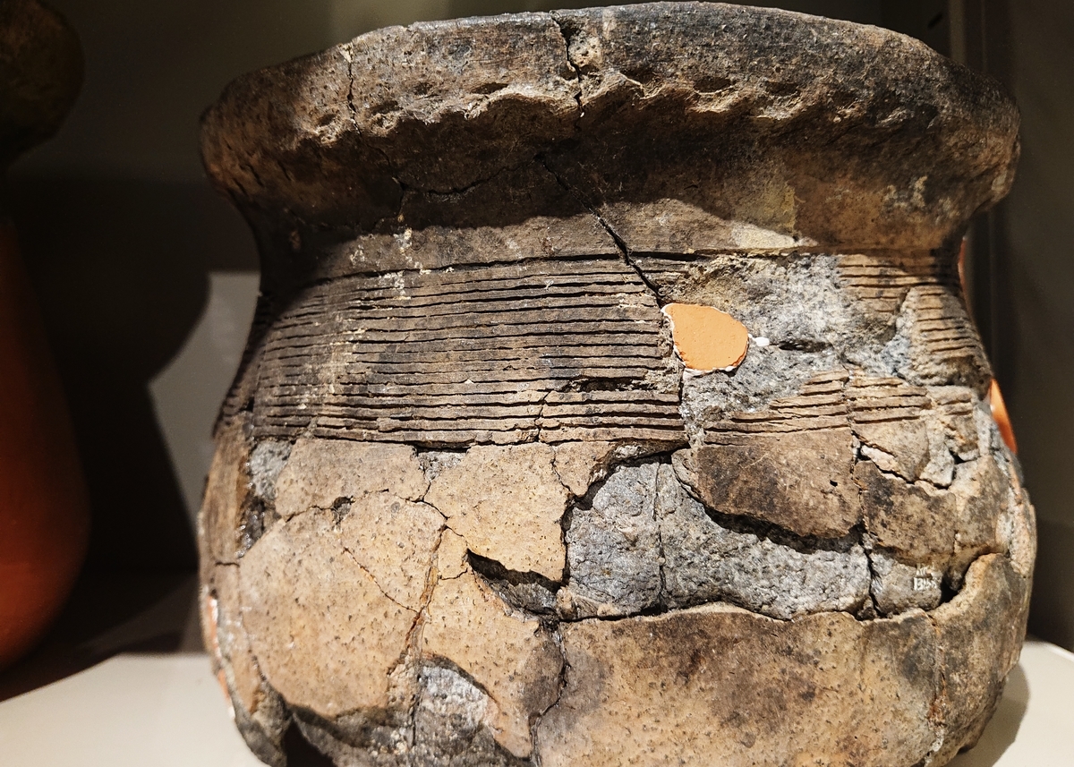 f:id:Kaimotu_Hatuji:20201028125707j:plain