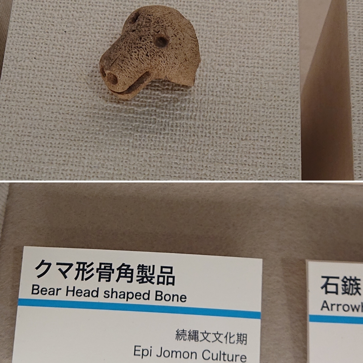 f:id:Kaimotu_Hatuji:20201028145944j:plain