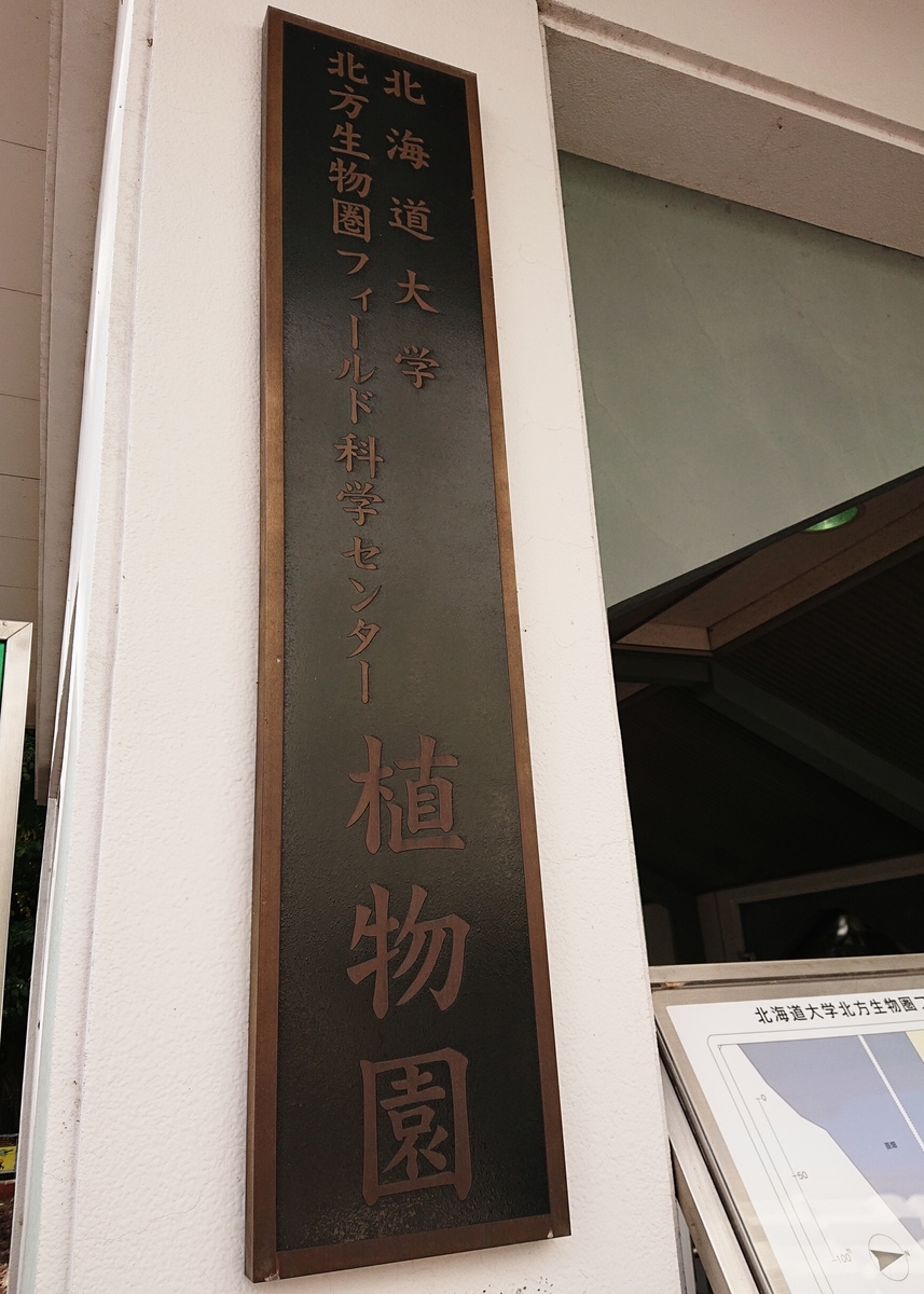 f:id:Kaimotu_Hatuji:20201029140946j:plain f:id:Kaimotu_Hatuji:20201029140946j:plain