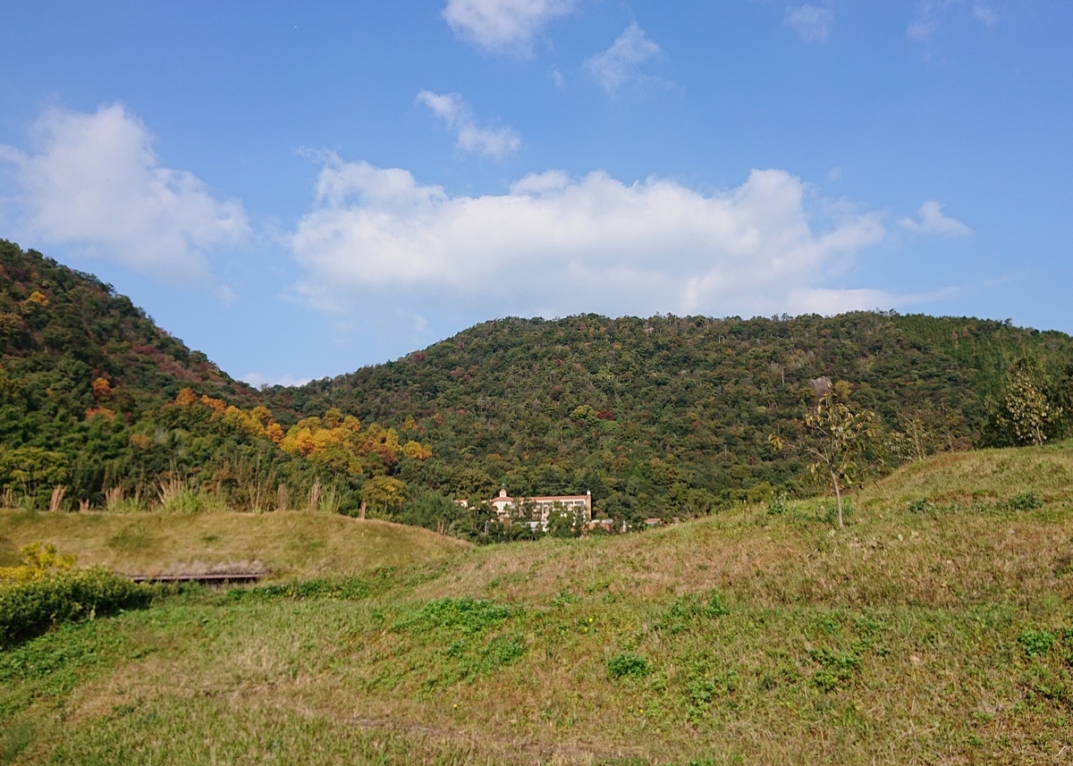 f:id:Kaimotu_Hatuji:20201110170442j:plain f:id:Kaimotu_Hatuji:20201110170442j:plain