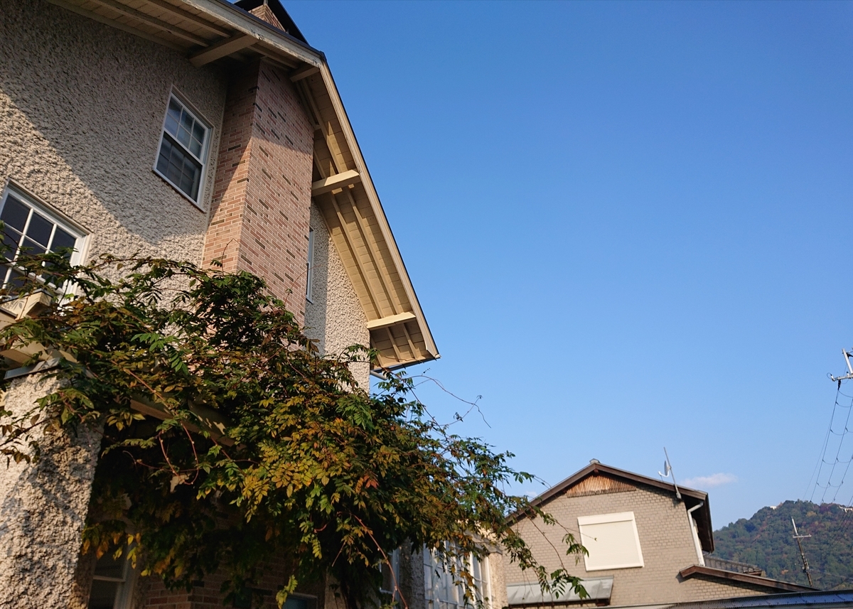 f:id:Kaimotu_Hatuji:20201110170503j:plain f:id:Kaimotu_Hatuji:20201110170503j:plain