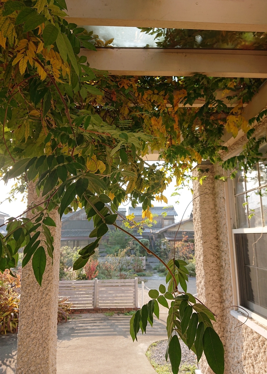 f:id:Kaimotu_Hatuji:20201110170534j:plain f:id:Kaimotu_Hatuji:20201110170534j:plain