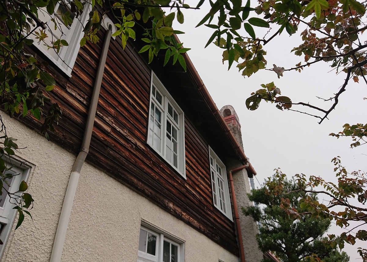 f:id:Kaimotu_Hatuji:20201110170805j:plain f:id:Kaimotu_Hatuji:20201110170805j:plain