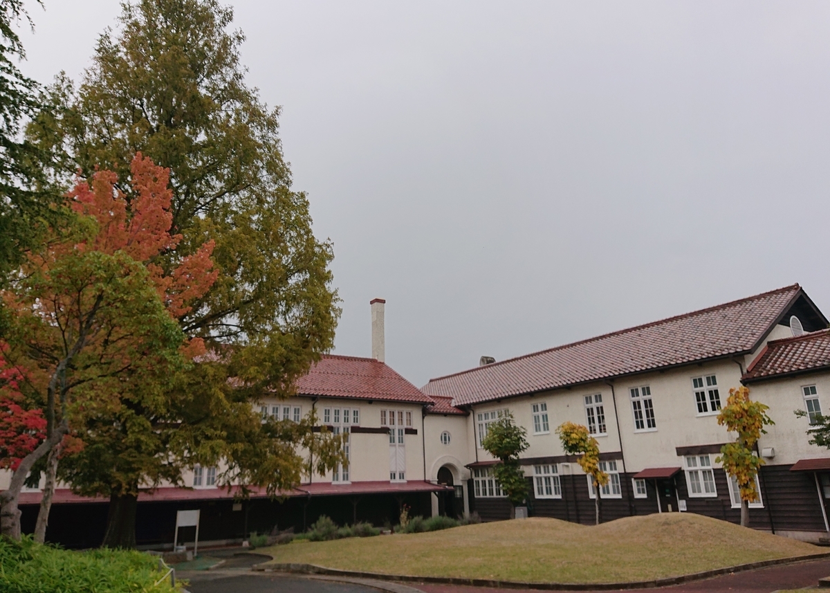 f:id:Kaimotu_Hatuji:20201110171429j:plain f:id:Kaimotu_Hatuji:20201110171429j:plain