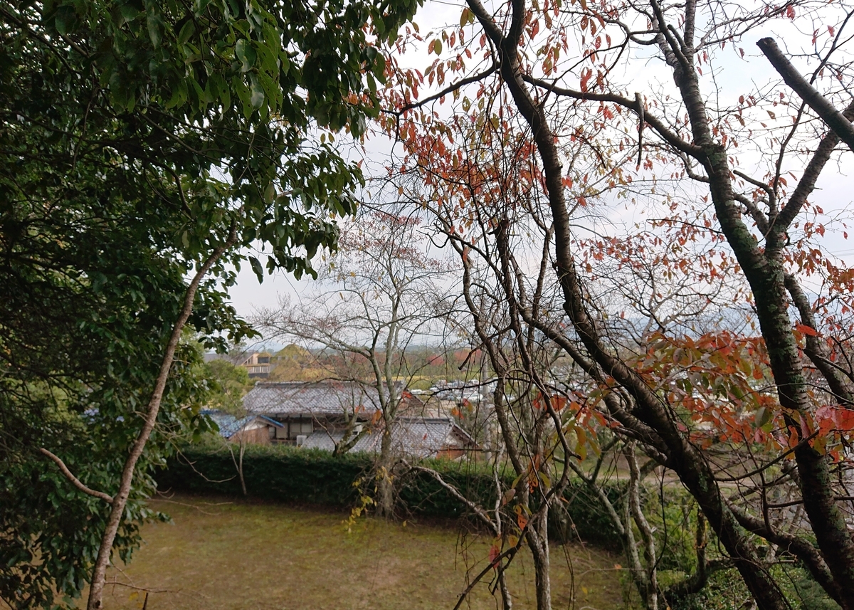 f:id:Kaimotu_Hatuji:20201110202158j:plain f:id:Kaimotu_Hatuji:20201110202158j:plain