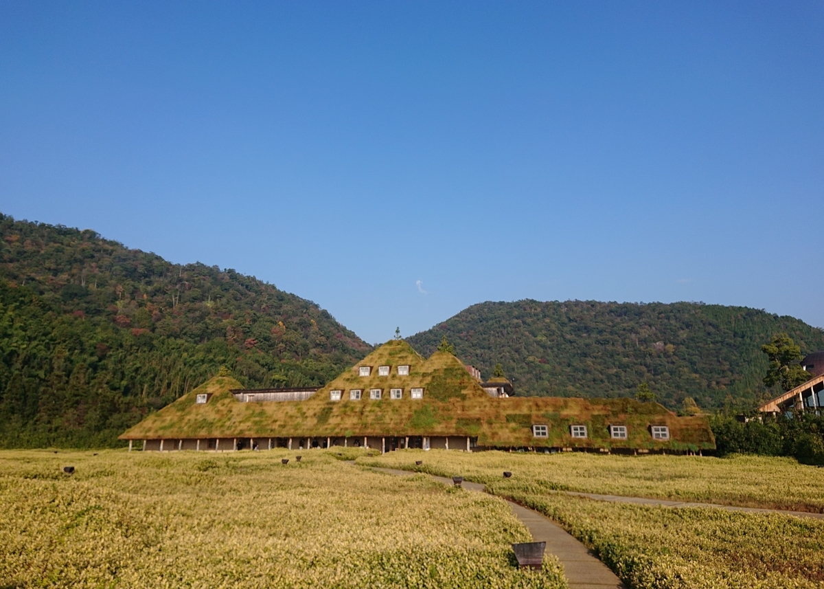 f:id:Kaimotu_Hatuji:20201110202951j:plain f:id:Kaimotu_Hatuji:20201110202951j:plain