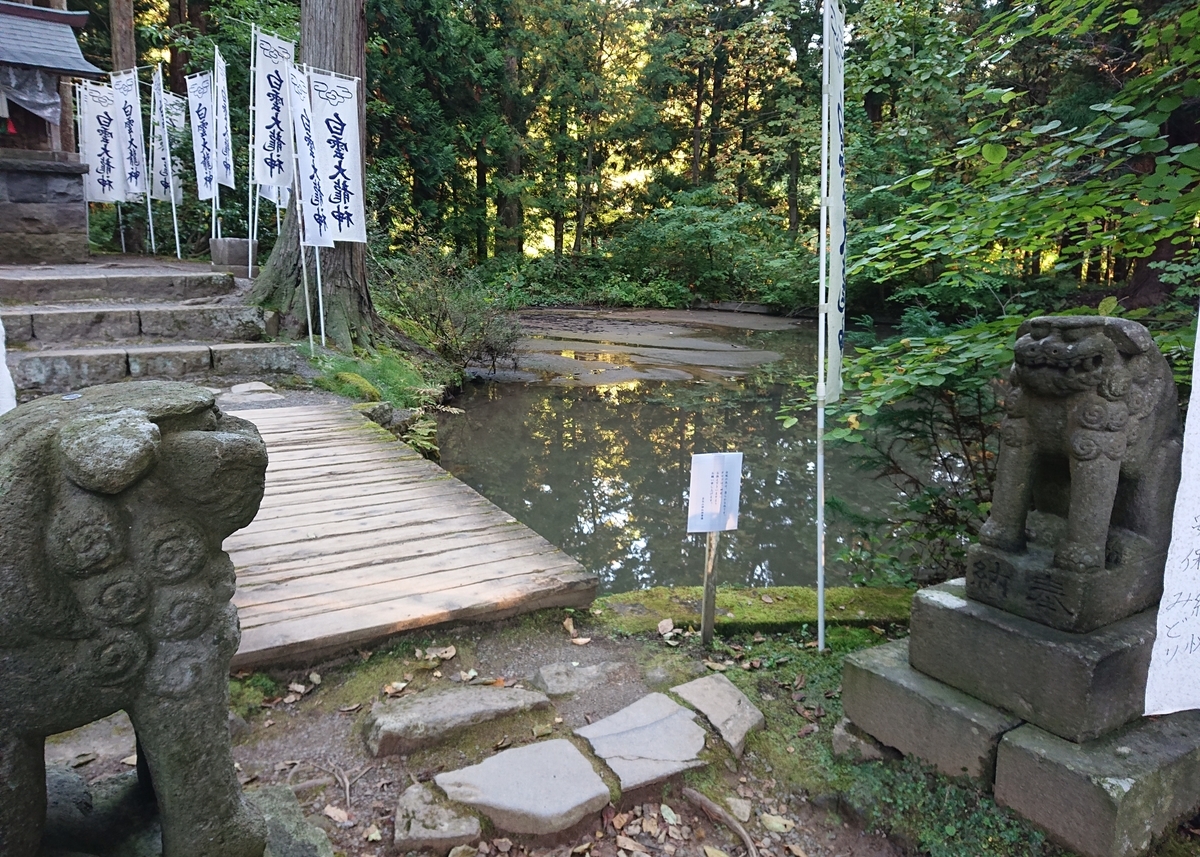 f:id:Kaimotu_Hatuji:20201121065819j:plain