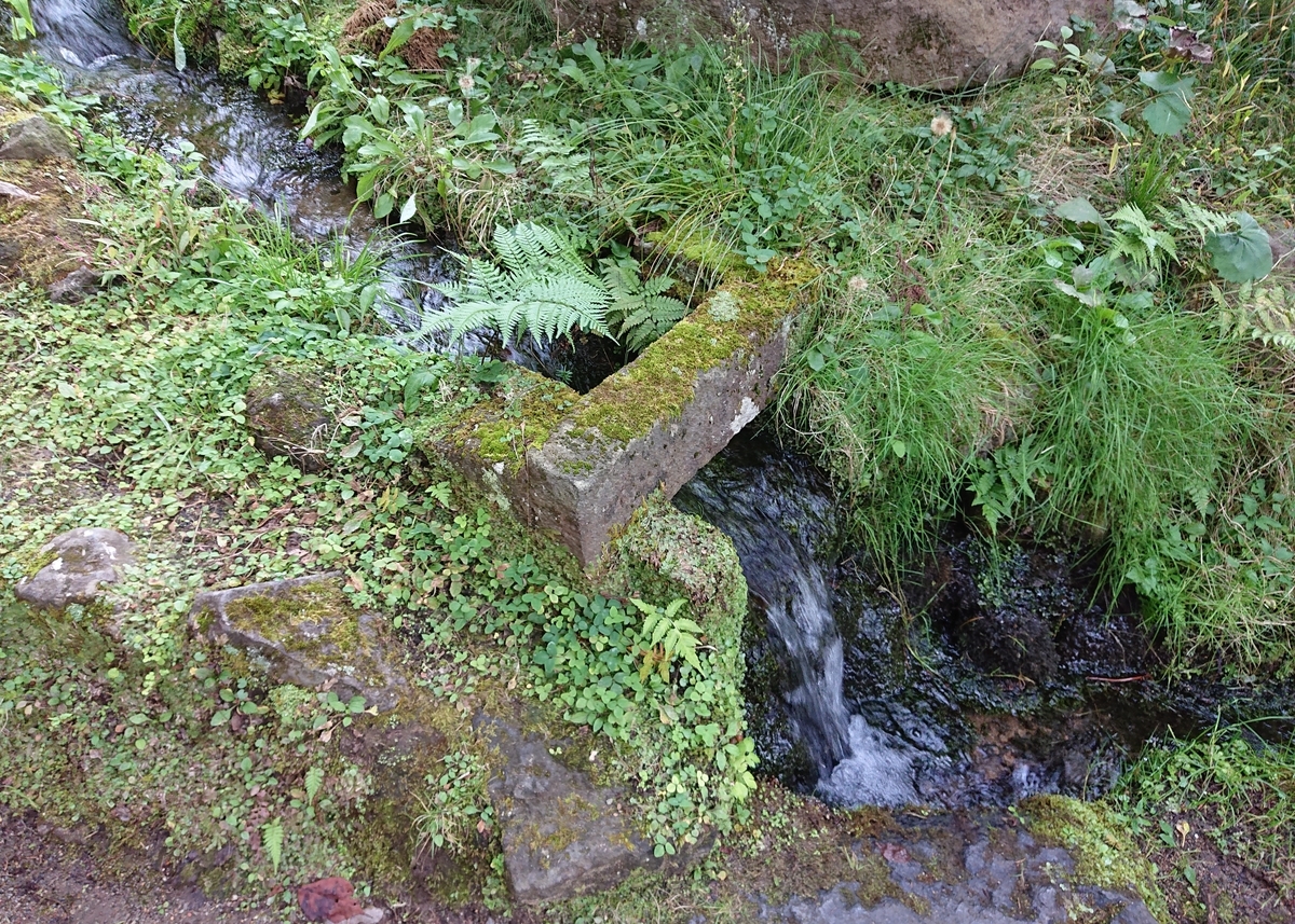 f:id:Kaimotu_Hatuji:20201121070212j:plain