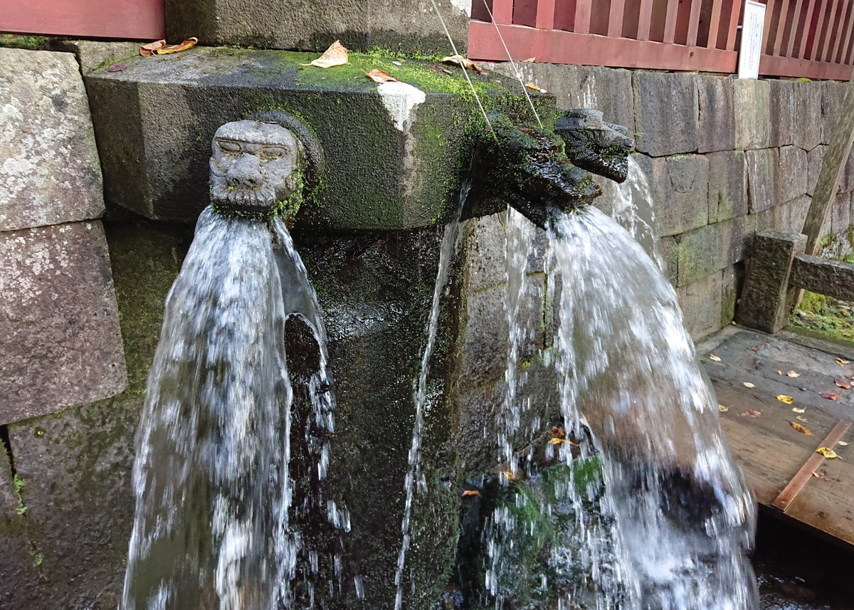 f:id:Kaimotu_Hatuji:20201121070304j:plain