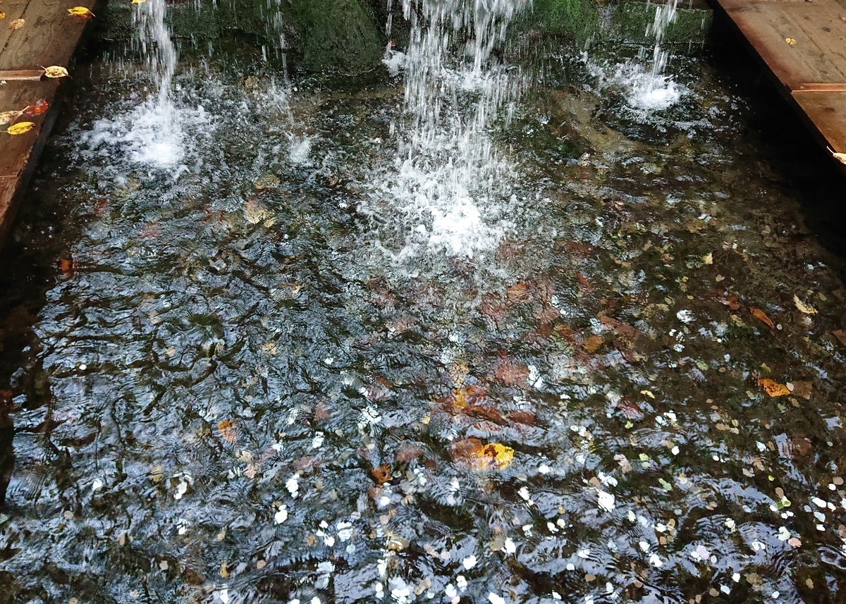 f:id:Kaimotu_Hatuji:20201121070629j:plain