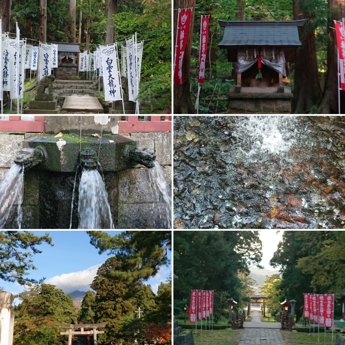 f:id:Kaimotu_Hatuji:20201121073804j:plain