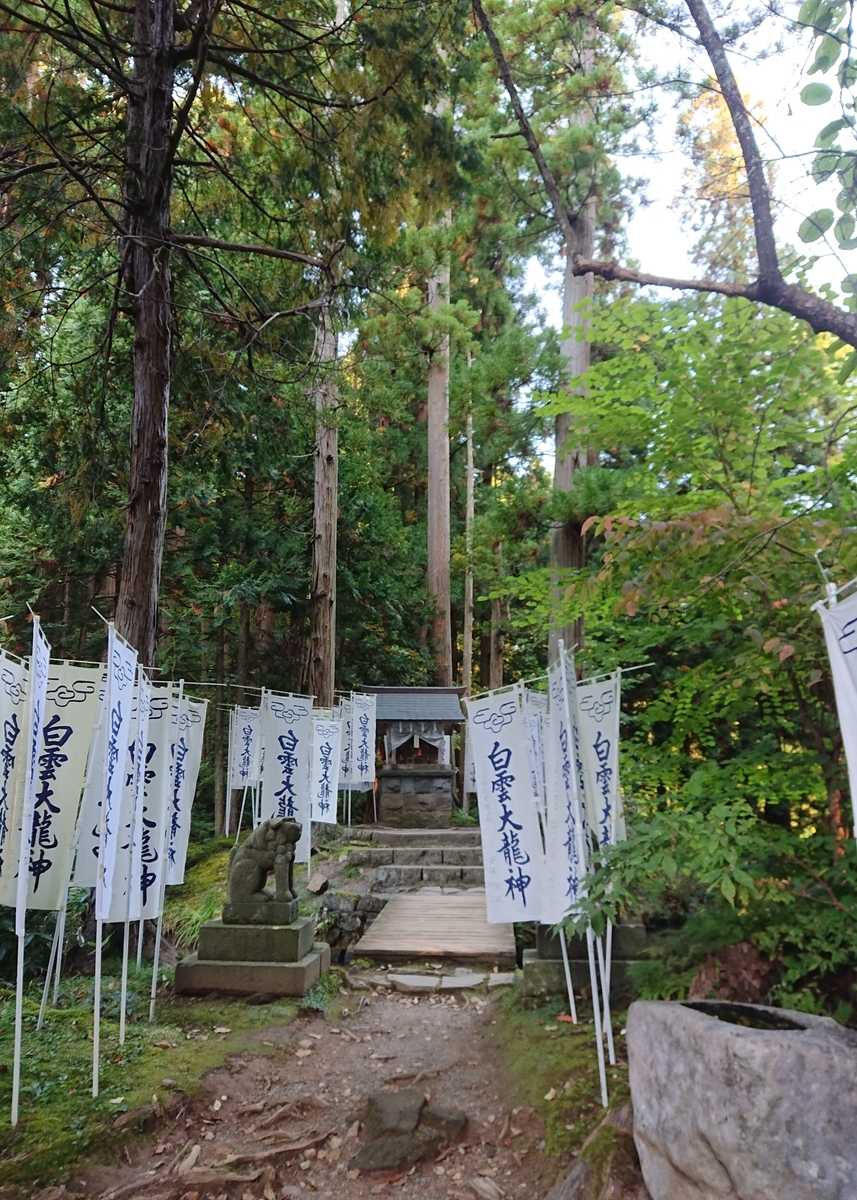 f:id:Kaimotu_Hatuji:20201121104404j:plain