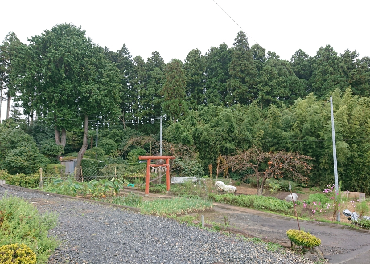 f:id:Kaimotu_Hatuji:20201202143410j:plain