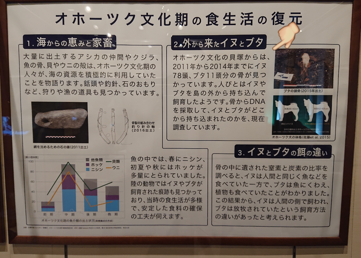 f:id:Kaimotu_Hatuji:20201215153840p:plain